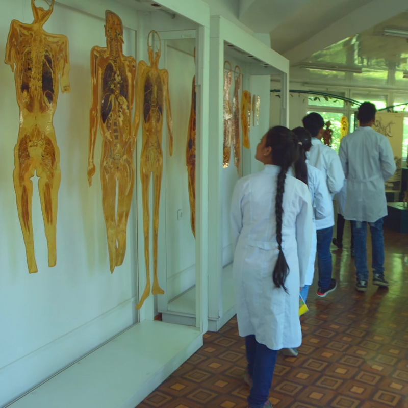 International education Kazakh-Russian Medical University